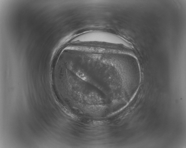 X0000064770149200603031834