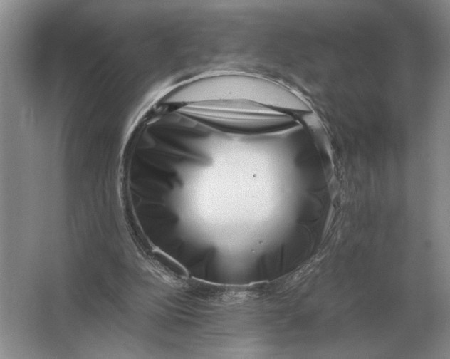 X0000064770152200603031834