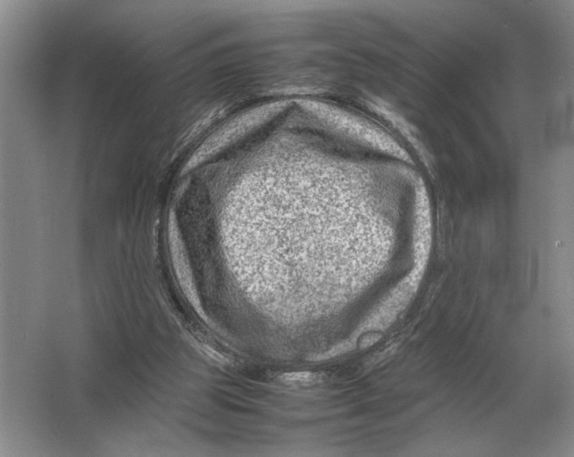 X0000064770153200603031834