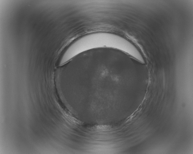 X0000064770154200603031834