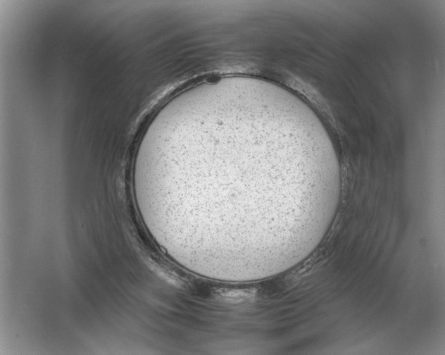 X0000064770155200603031834