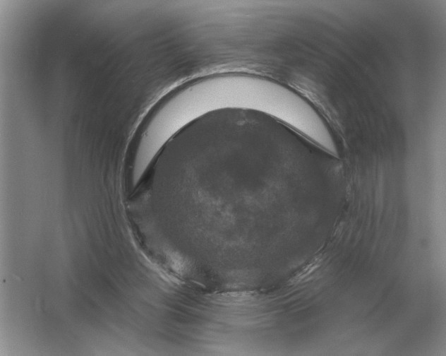 X0000064770156200603031834