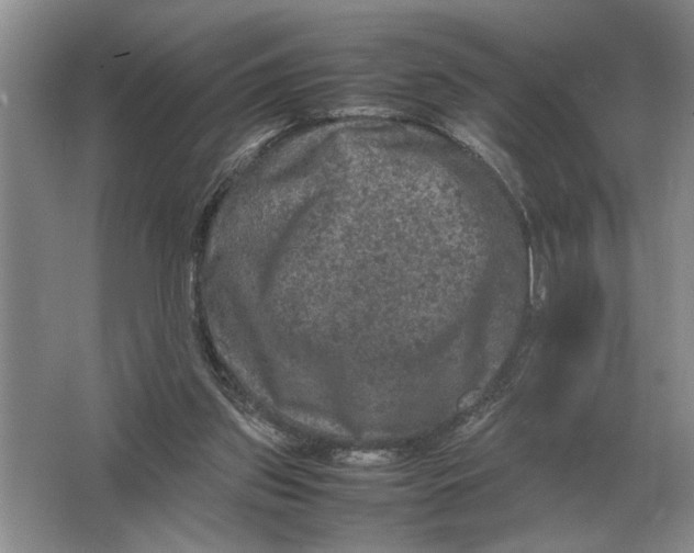 X0000064770157200603031834