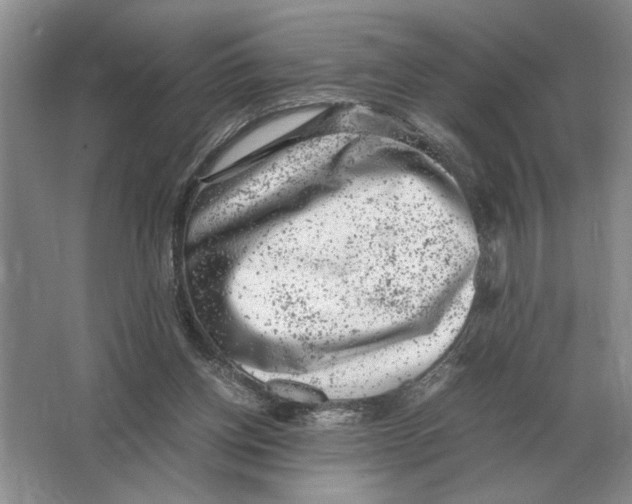 X0000064770158200603031834