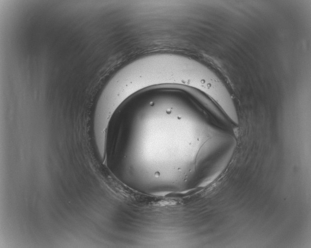 X0000064770162200603031834