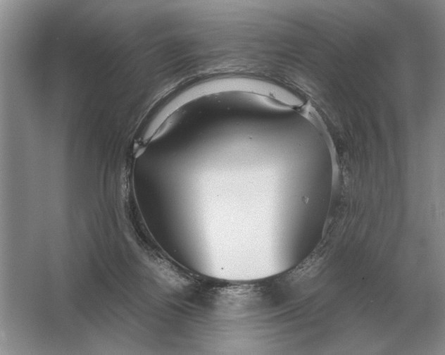 X0000064770164200603031834