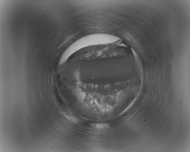 X0000064770165200603031834