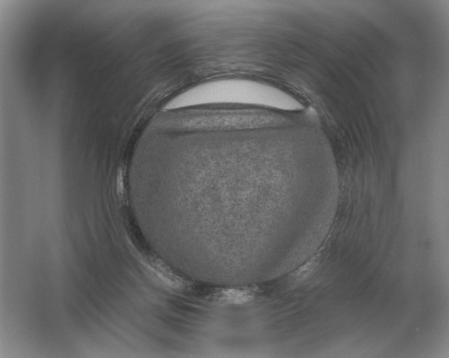 X0000064770166200603031834