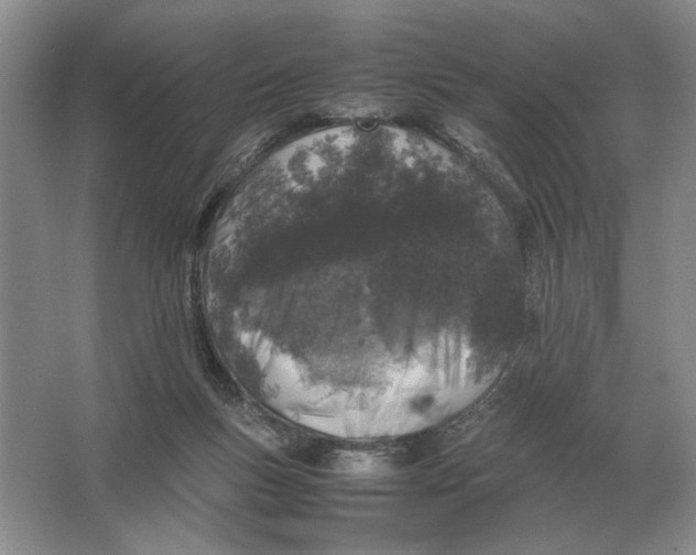 X0000064770167200603031834