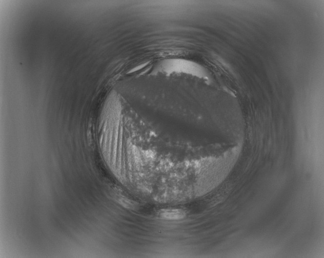 X0000064770169200603031835