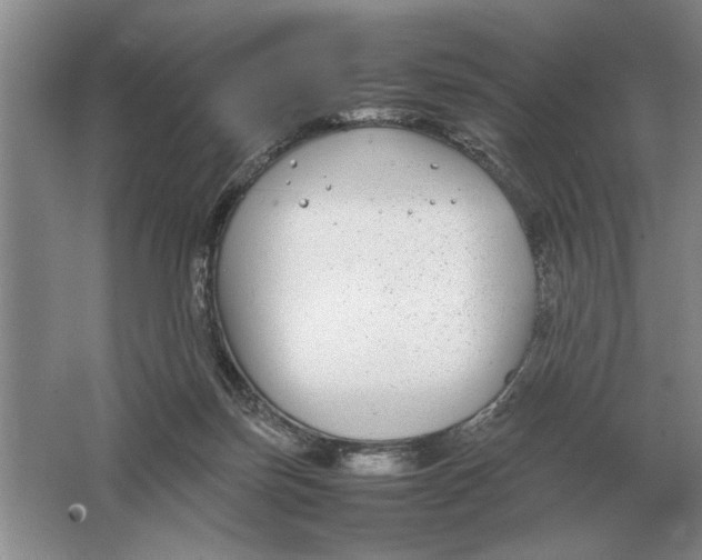 X0000064770171200603031835