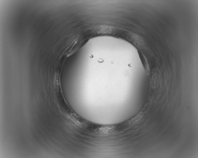 X0000064770172200603031835