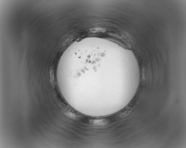 X0000064770173200603031835