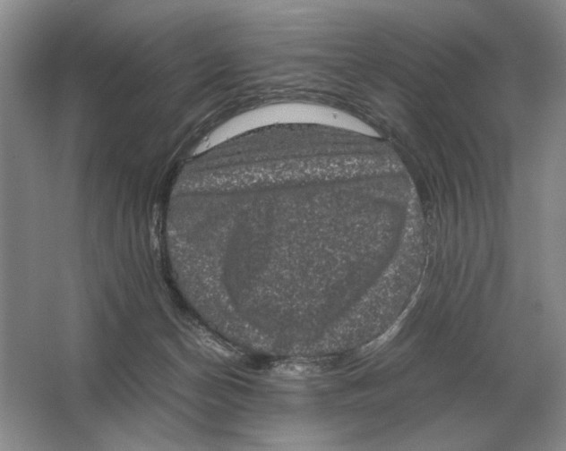 X0000064770174200603031835