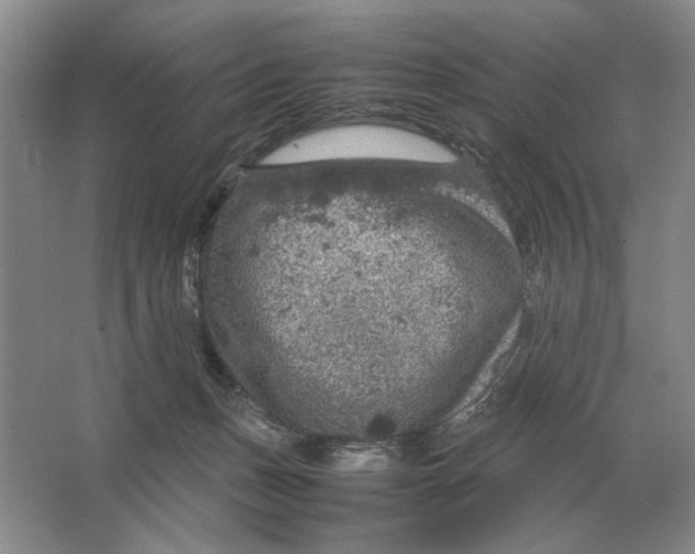 X0000064770175200603031835