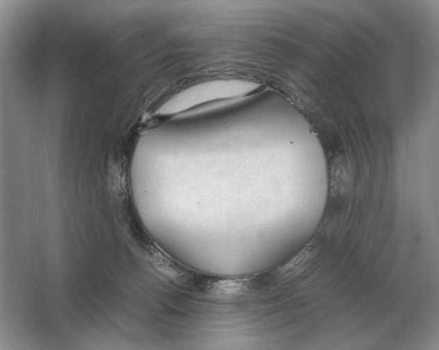 X0000064770176200603031835