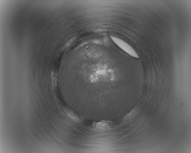 X0000064770180200603031835