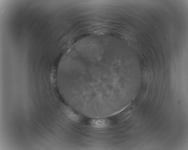 X0000064770181200603031835