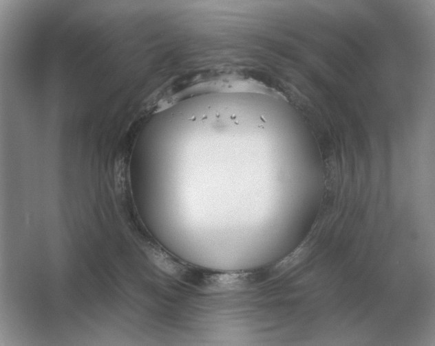 X0000064770184200603031835