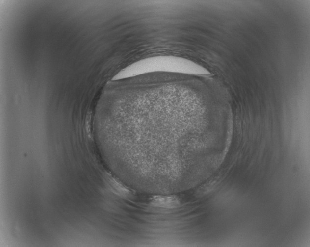 X0000064770185200603031835