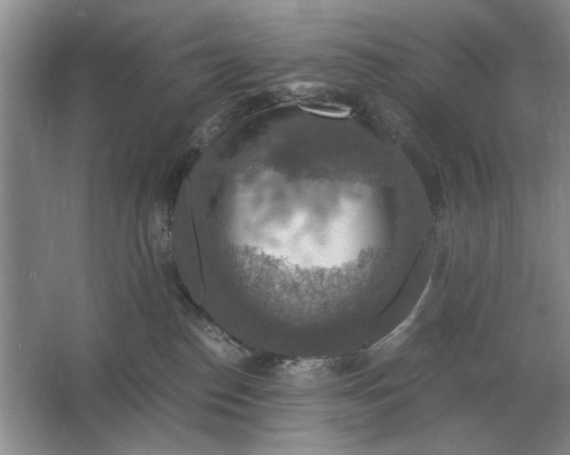 X0000064770186200603031835