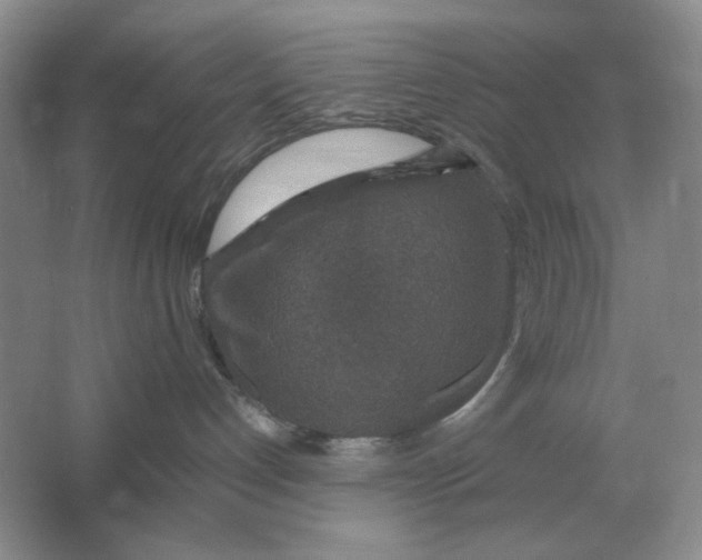 X0000064770192200603031835