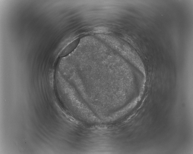 X0000064770194200603031834