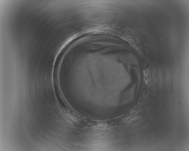 X0000064770196200603031834