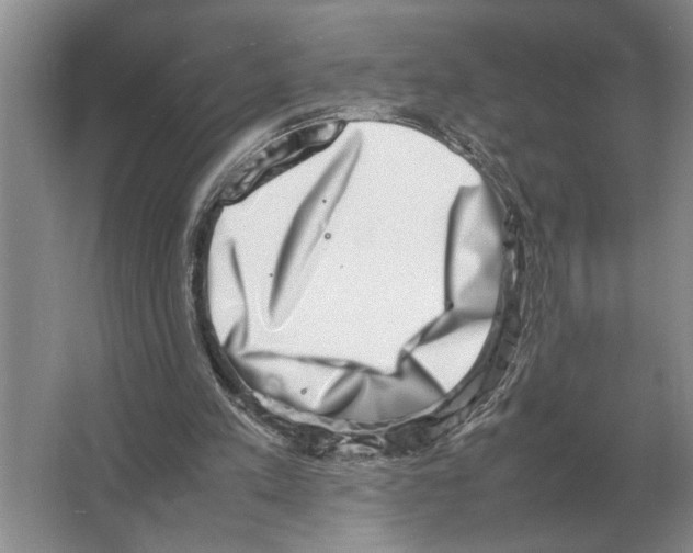 X0000064770197200603031834