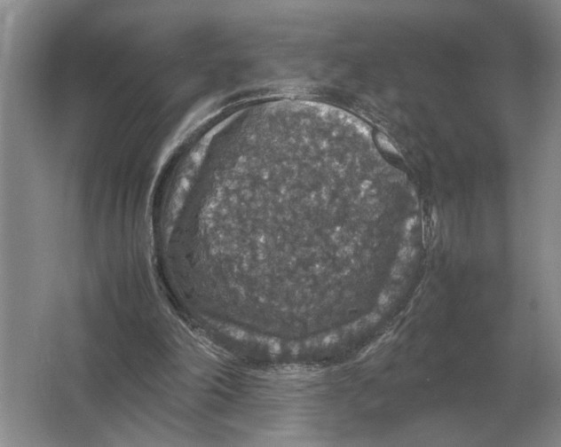 X0000064770198200603031834