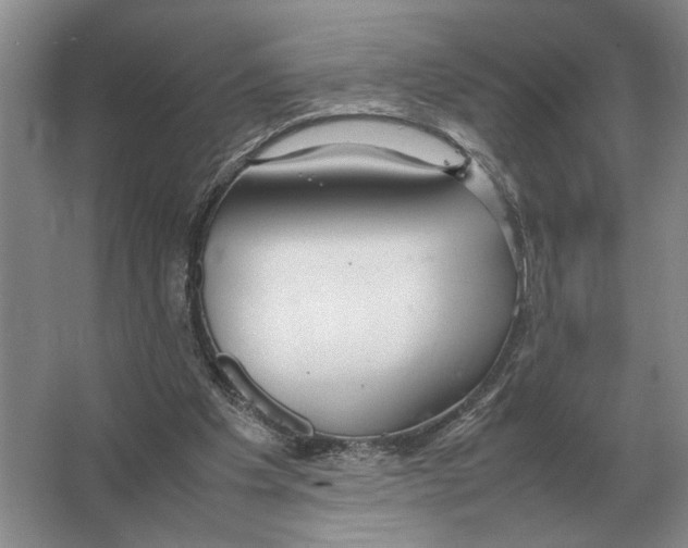 X0000064770201200603031834