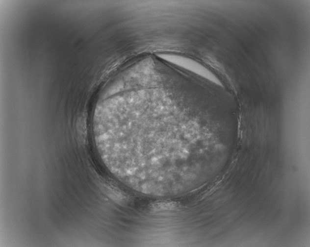 X0000064770202200603031834