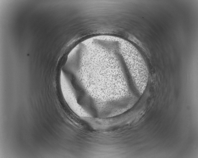 X0000064770203200603031834