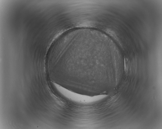 X0000064770204200603031834