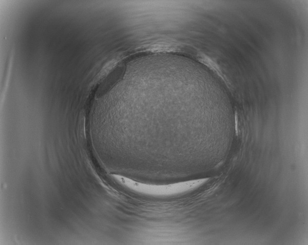 X0000064770205200603031834