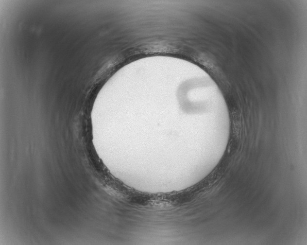 X0000064770207200603031834