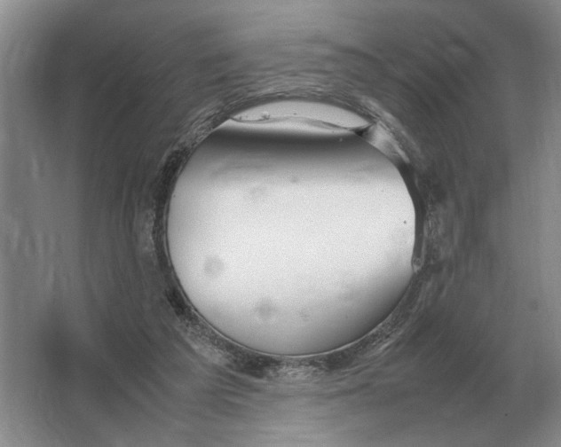 X0000064770209200603031834