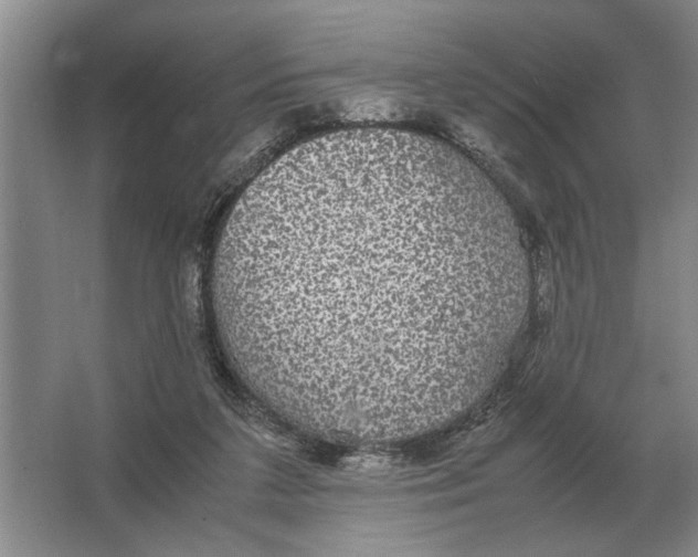 X0000064770211200603031834