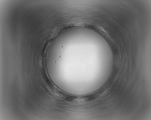 X0000064770213200603031834