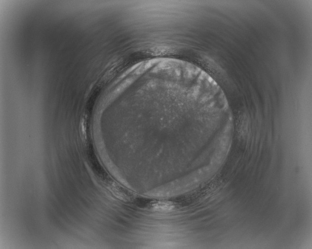 X0000064770214200603031834