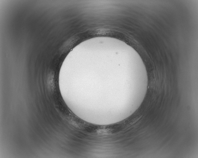 X0000064770216200603031834