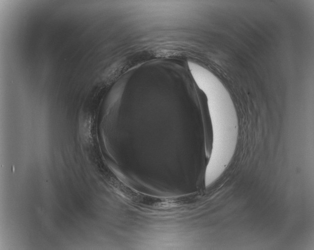 X0000064770219200603031834