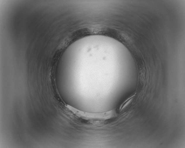 X0000064770221200603031834