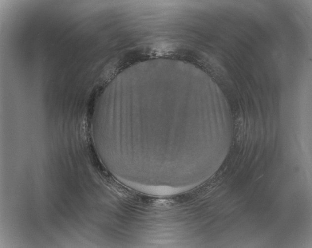 X0000064770222200603031834