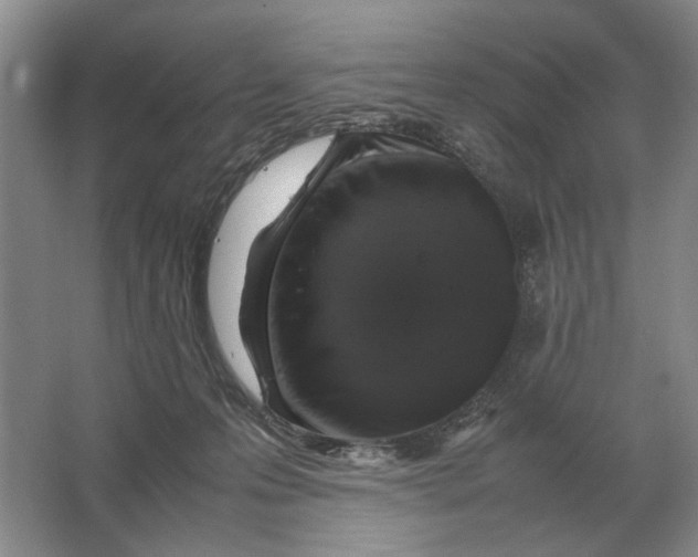 X0000064770223200603031834