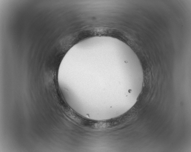 X0000064770225200603031834