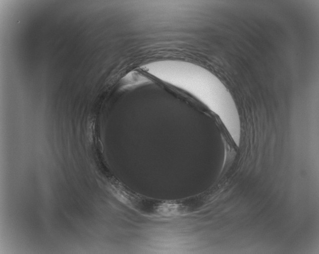 X0000064770227200603031834