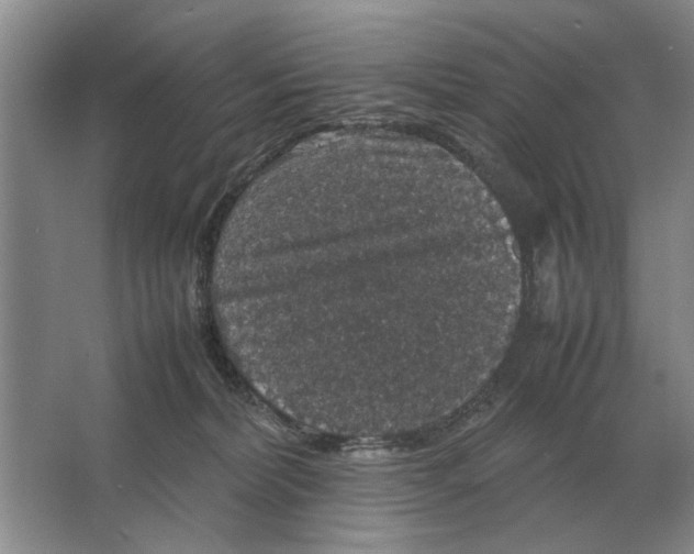 X0000064770228200603031833