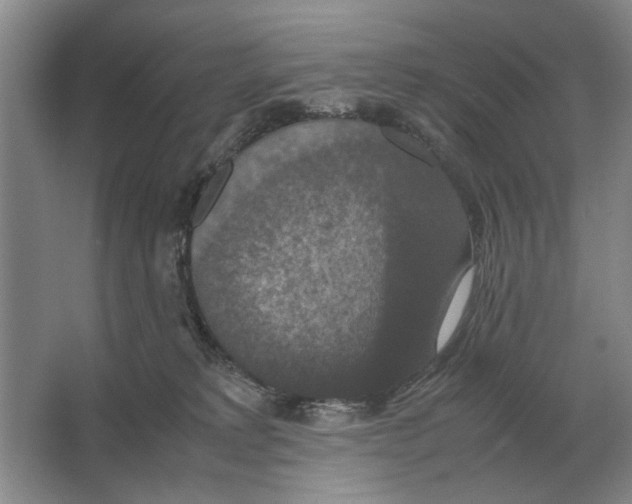 X0000064770229200603031833