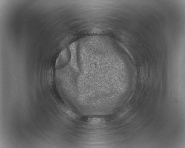 X0000064770230200603031833